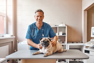 My best patient. Cheerful middle aged male vet in work uniform holding a pug and smiling while standing at veterinary clinic. Pet care concept. Medicine concept. Animal hospital