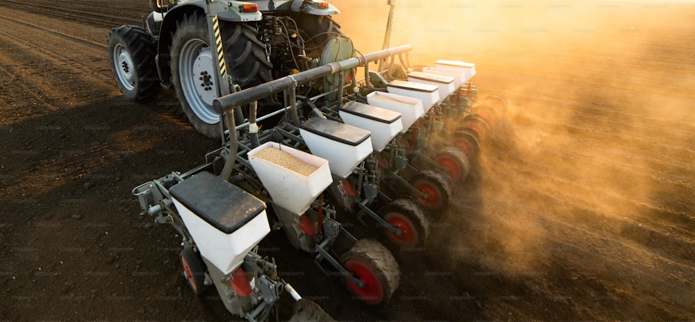 Agricultor con siembra de tractor - siembra de cultivos en el campo agrícola. Plantas, trigo.