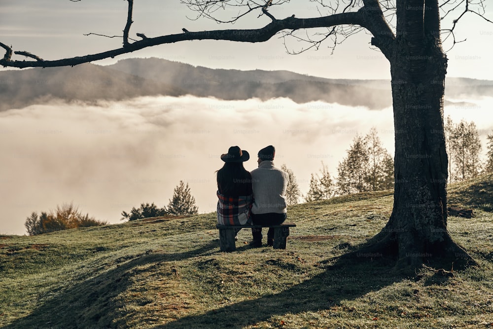 ベンチに座りながら山脈の絶景を楽しむ若いカップルの後ろ姿