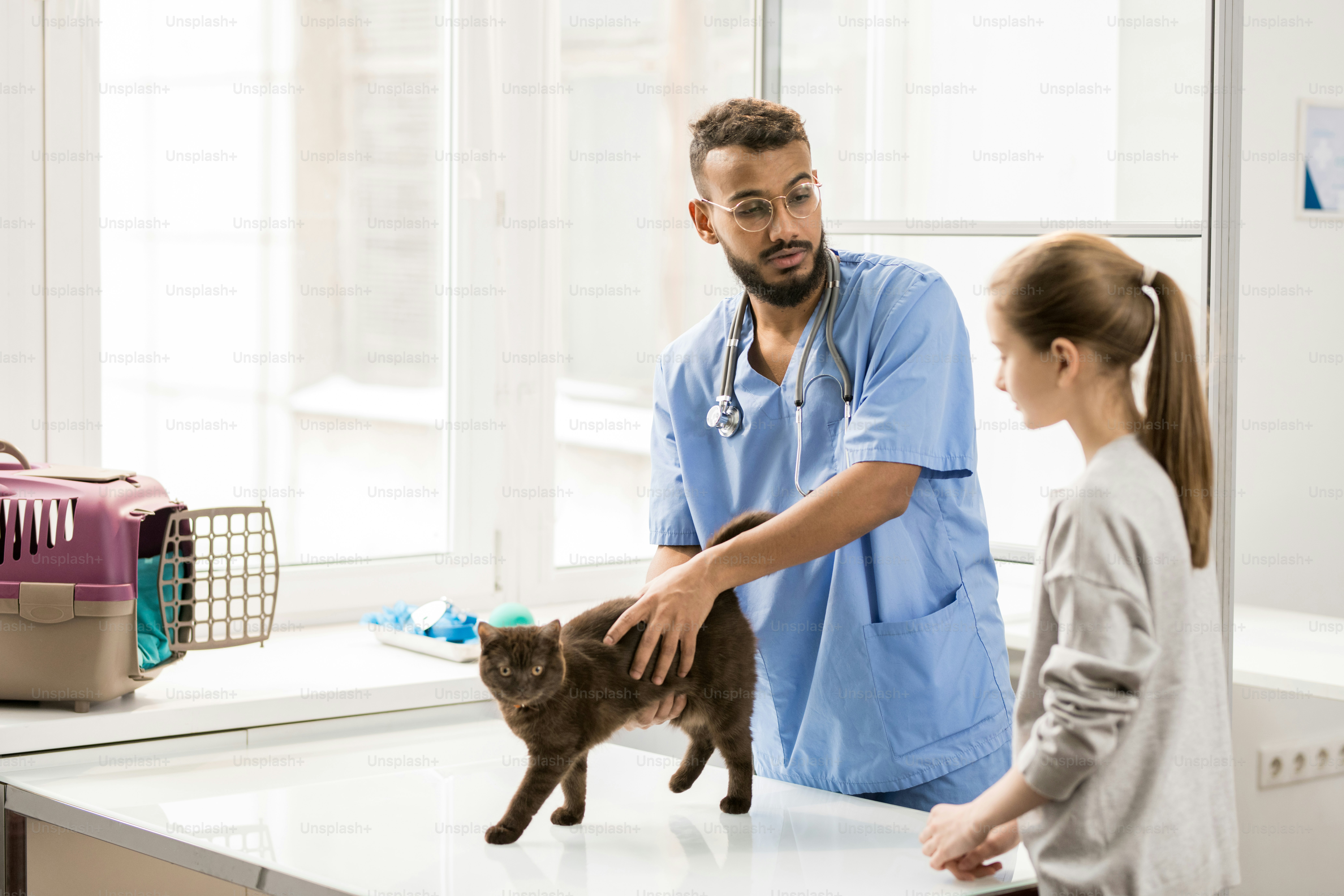 Young veterinarian talking to little girl while petting cat before or after examination in clinics