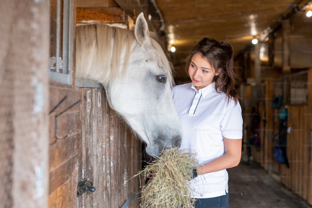 Mulher esportiva nova em casualwear olhando para o cavalo branco enquanto a alimenta com feno fresco no estábulo após a corrida ou treinamento