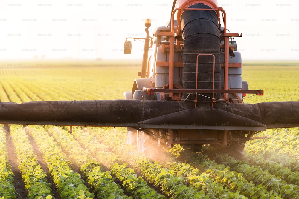 Tractor spraying pesticides on soybean field with sprayer at spring