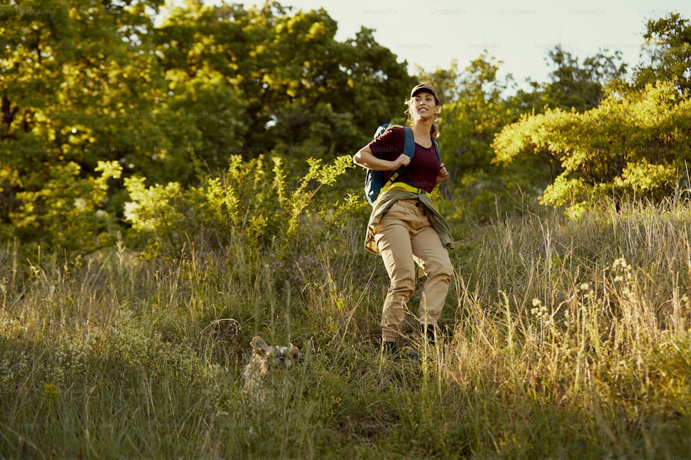 Junge Frau, die mit ihrem Hund in der Natur wandert und den Hügel hinuntergeht.