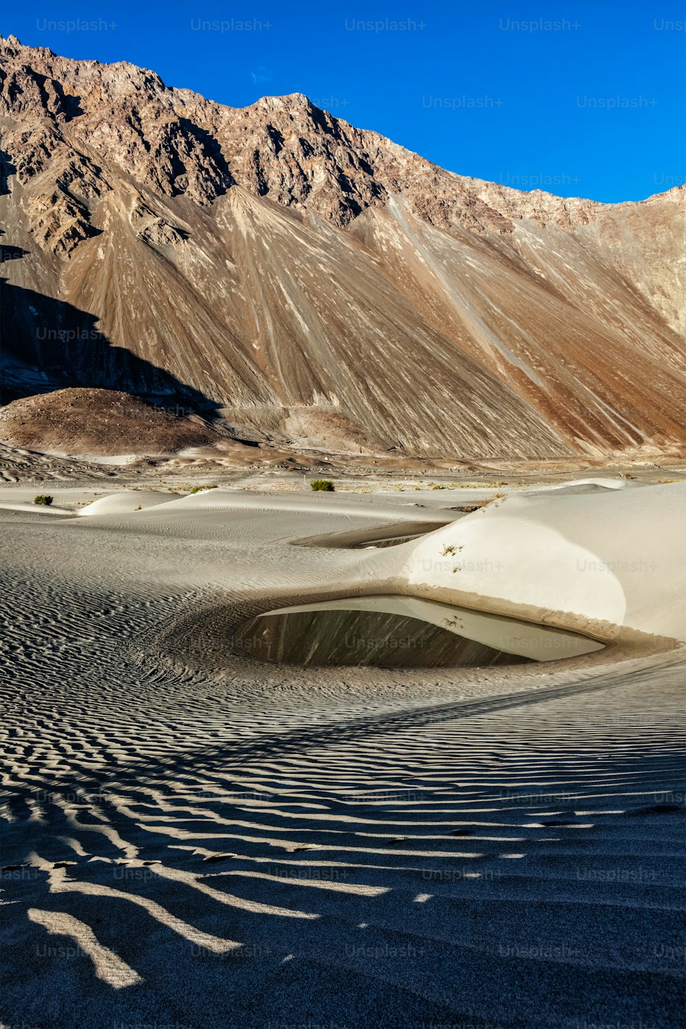 Sand dunes of small desert in Nubra valley in Himalayas. Hunder, Nubra valley, Ladakh