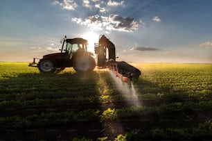 Tractor rociando pesticidas en el campo de soja con pulverizador en primavera