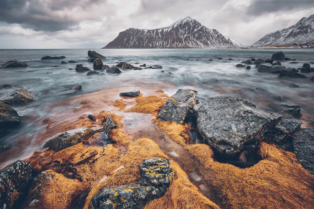 雪が積もった冬のノルウェー海のフィヨルドの岩だらけの海岸。スカグサンデン ビーチ、ロフォーテン諸島、ノルウェー