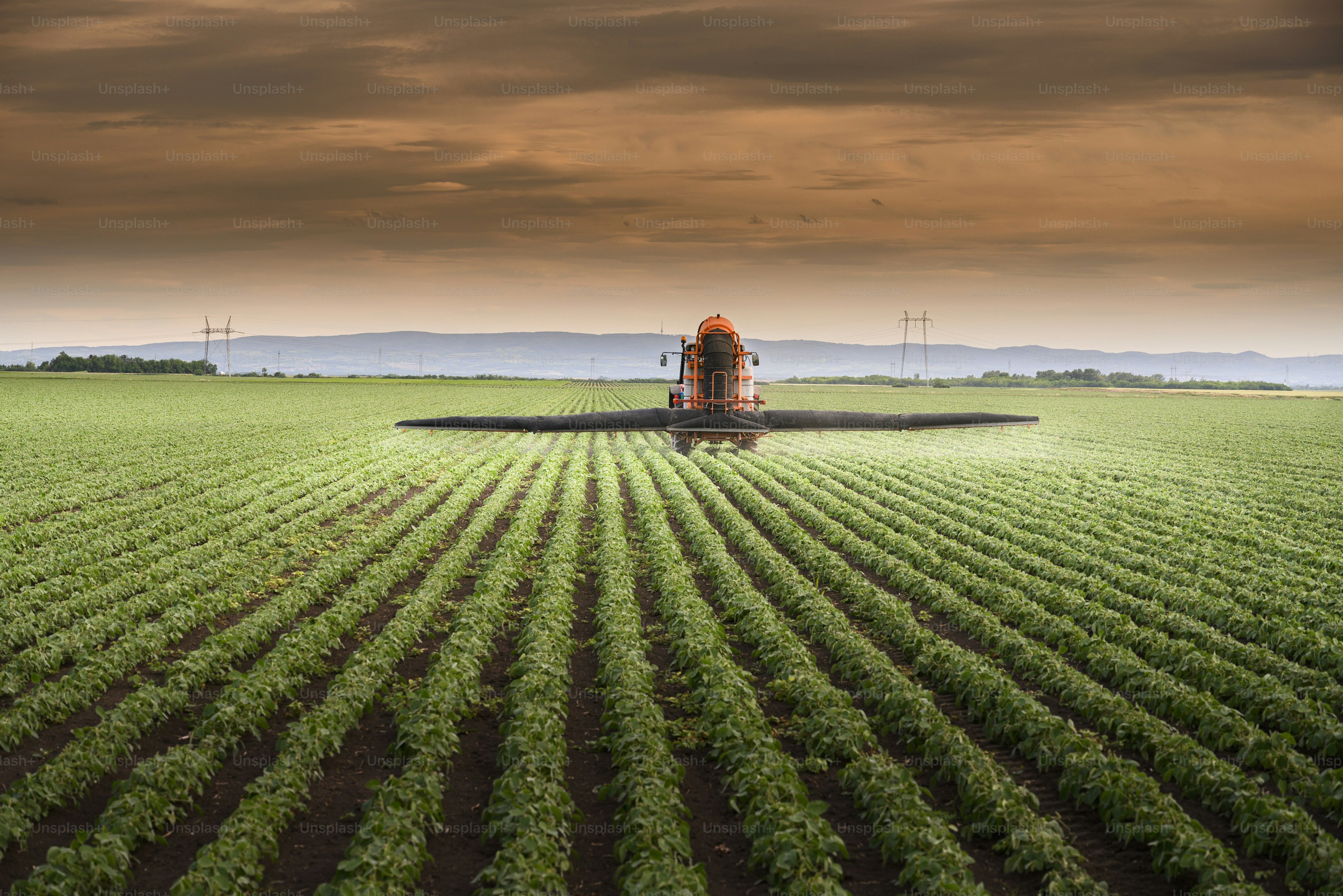 Farmsent Reveals its Superapp: A Swiss Knife dApp for Smart Agriculture with Wallet Abstraction and .grow Domains