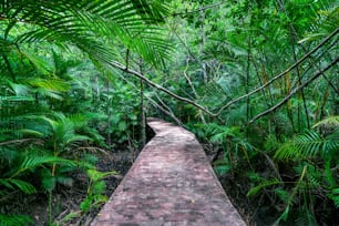 Concrete walking trail in a nature park.