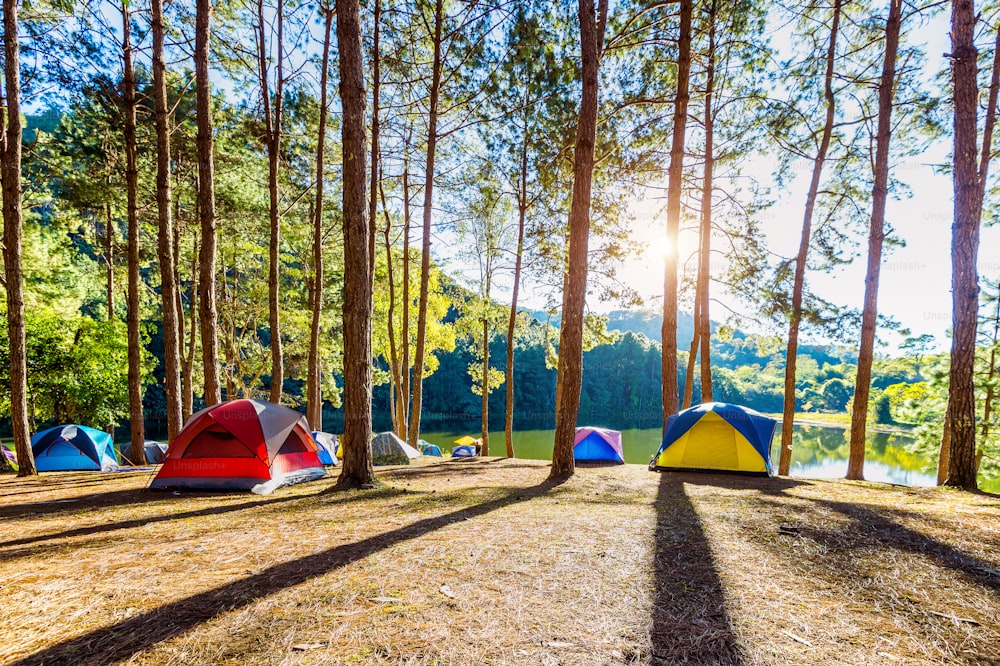 Camping tents under pine trees with sunlight at Pang Ung lake, Mae Hong Son in THAILAND.