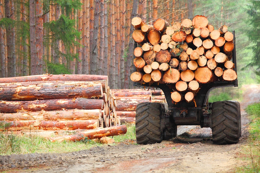 森で働く伐採業者の木こり。木材の収穫。再生可能エネルギー源としての薪。農林業をテーマにしています。