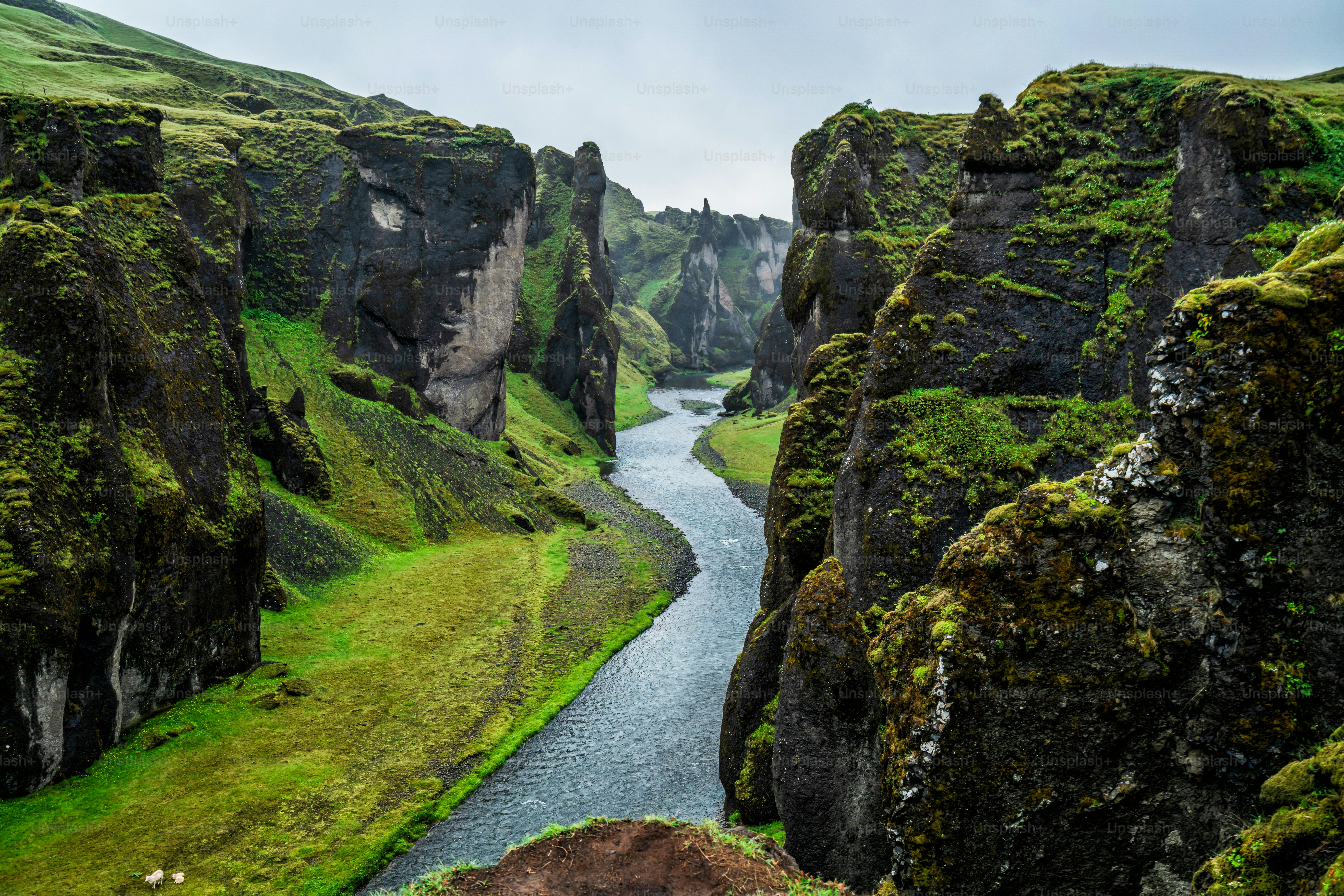 Paisaje único de Fjadrargljufur en Islandia. Destino turístico de primer orden. El cañón de Fjadrargljufur es un enorme cañón de unos 100 metros de profundidad y unos 2 kilómetros de largo, situado en el sureste de Islandia.