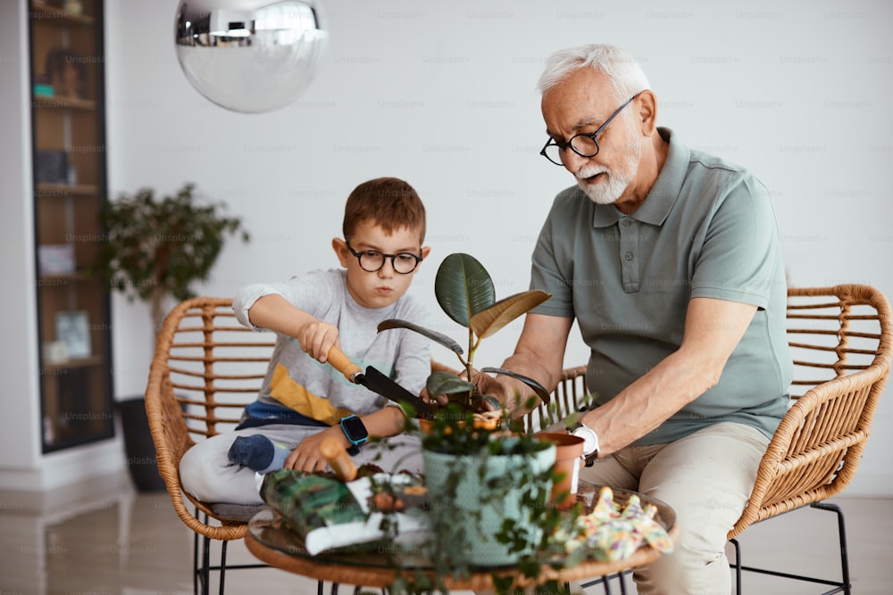 Grandfather and grandson spending time together and taking care of potted plants at home.