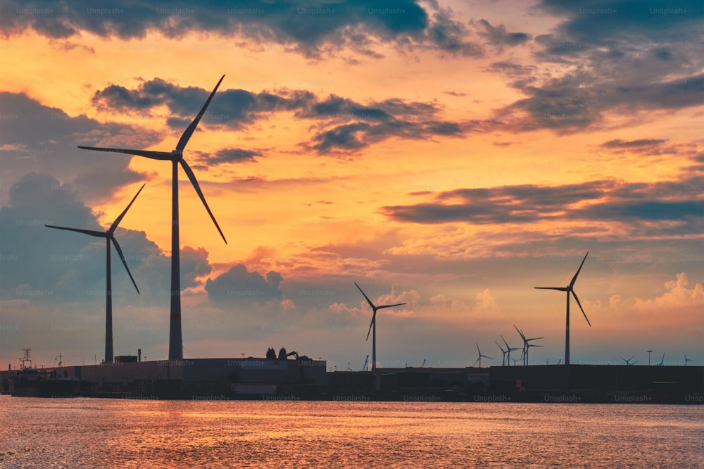 Las turbinas eólicas alimentan los generadores de electricidad en el puerto de Amberes al atardecer. Amberes, Bélgica