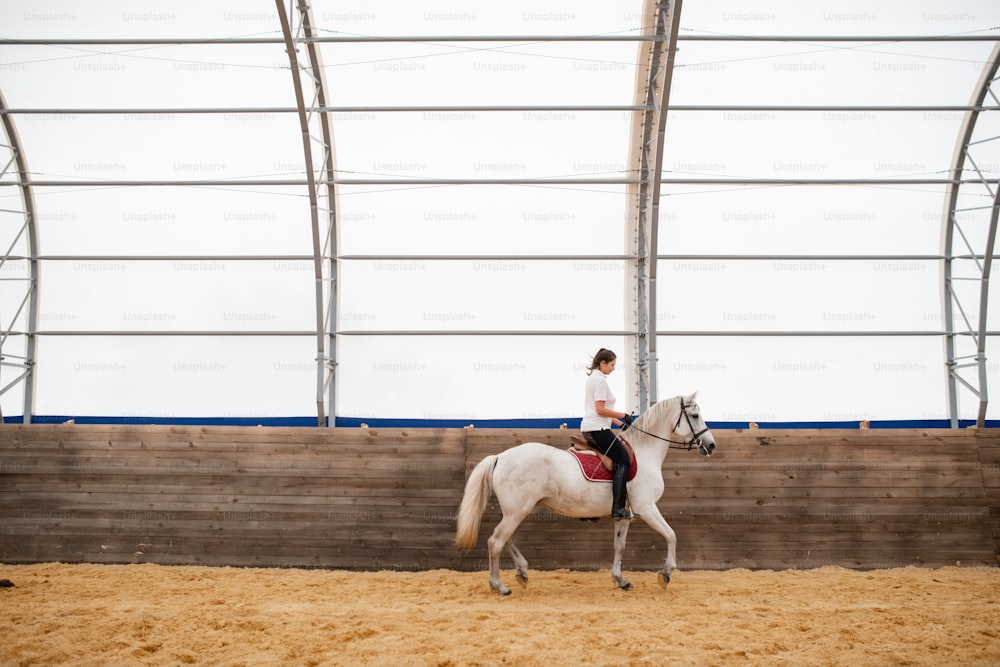 Junge Frau in Reitkleidung bewegt sich entlang des Holzzauns, während sie auf dem Rücken eines weißen reinrassigen Pferdes sitzt