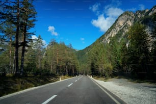 Schöne Bergstraße mit Bäumen, Wald und Bergen im Hintergrund. Aufgenommen an der Staatsstraße der Dolomiten in Italien.