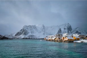 冬に雪が降るサクリソイ漁村の黄色いロルブの家。ロフォーテン諸島、ノルウェー