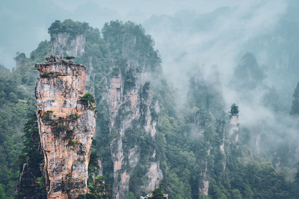 Famosa atração turística de China - Zhangjiajie pilares de pedra montanhas do penhasco em nuvens de neblina em Wulingyuan, Hunan, China