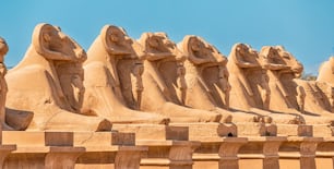 Famoso beco de esfinges de Karnak com cabeças de cabra em Luxor ou Tebas antiga. Destinos de viagem em Egito