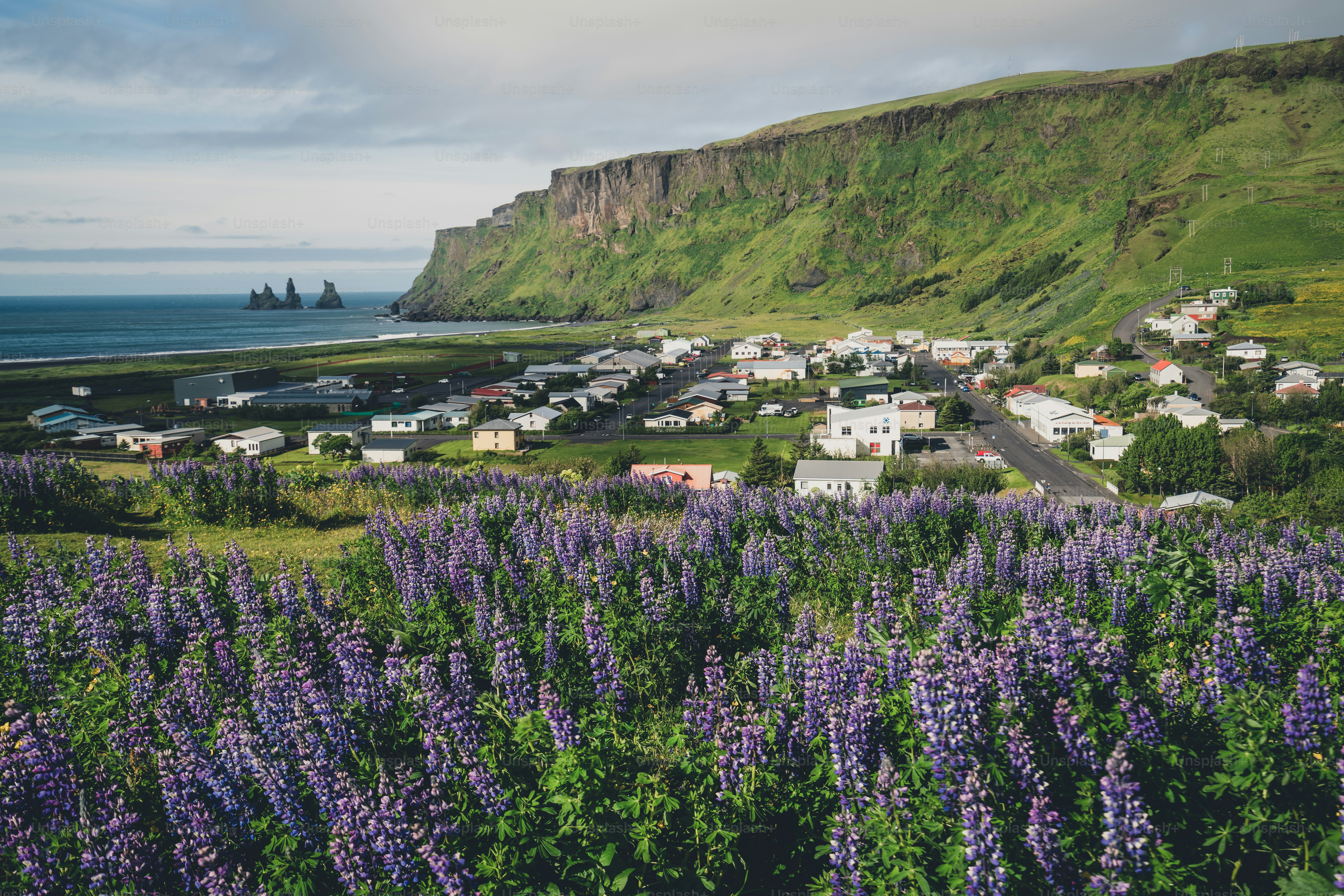 Beautiful town of Vik i Myrdal in Iceland in summer. The village of Vik  is the southernmost village in Iceland on the ring road around 180 km southeast of Reykjavík.