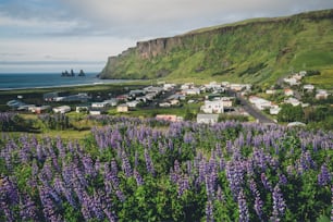 Beautiful town of Vik i Myrdal in Iceland in summer. The village of Vik  is the southernmost village in Iceland on the ring road around 180 km southeast of Reykjavík.