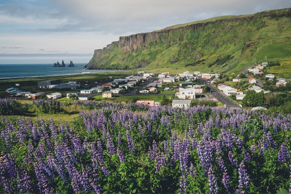 夏のアイスランドの美しい町、ヴィク・イ・ミュルダール。ヴィーク村は、レイキャビクの南東約180kmにある環状道路沿いにあるアイスランド最南端の村です。