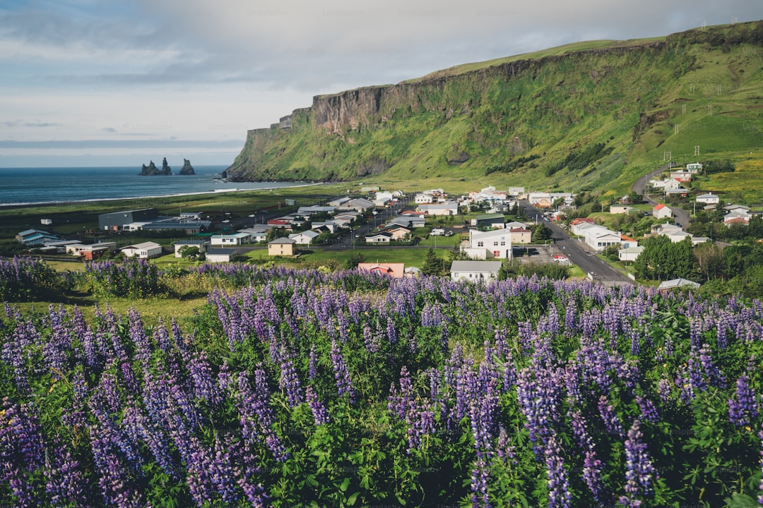 Beautiful town of Vik i Myrdal in Iceland in summer. The village of Vik is the southernmost village in Iceland on the ri