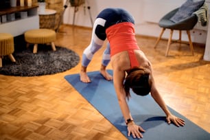Atleta femminile che pratica la posa yoga del cane rivolto verso il basso mentre si allena a casa.