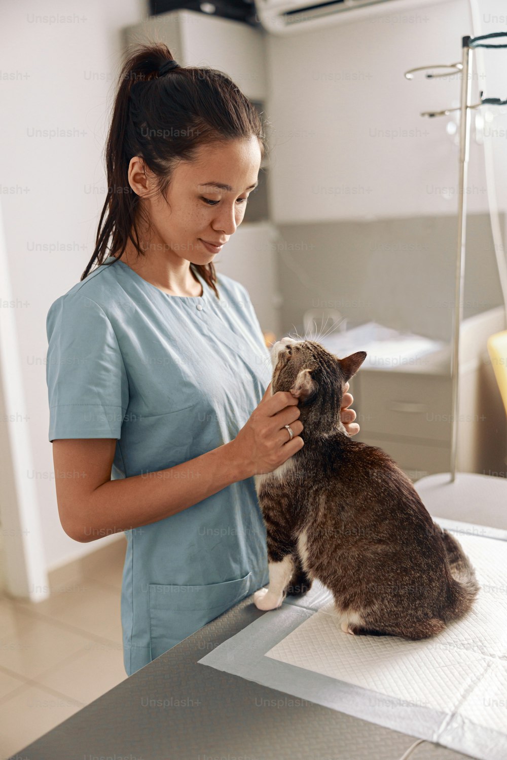 Cheerful young Asian veterinarian in uniform examines adorable tabby cat at appointment in modern clinic office. Medical care of pets