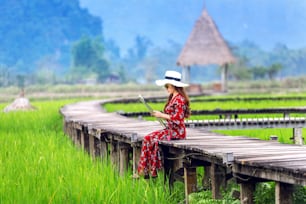 Mujer joven sentada en un camino de madera con un campo de arroz verde en Vang Vieng, Laos.