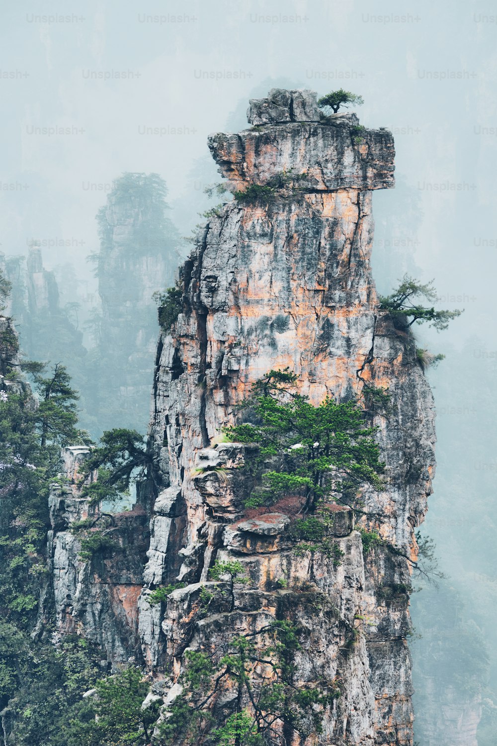 Célèbre attraction touristique de la Chine - Montagnes de falaise de piliers de pierre de Zhangjiajie dans les nuages de brouillard à Wulingyuan, Hunan, Chine