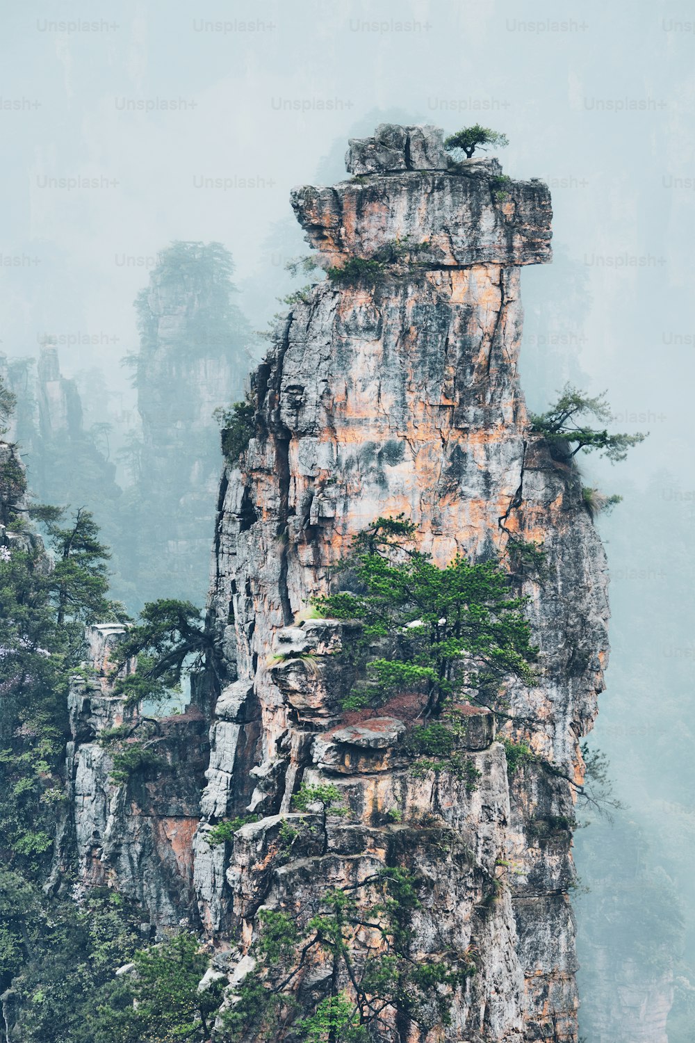 Famous tourist attraction of China - Zhangjiajie stone pillars cliff mountains in fog clouds at Wulingyuan, Hunan, China