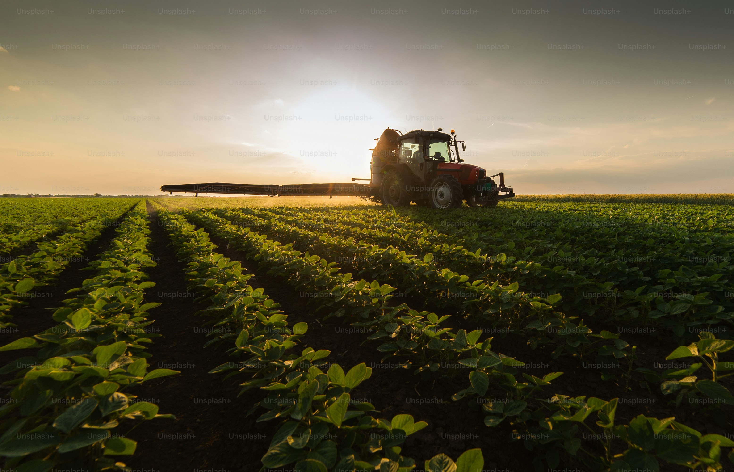 Tractor spraying pesticides on soybean field  with sprayer at spring