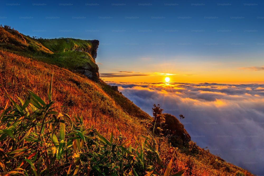 Phu chi fa and mist at sunrise in Chiang rai province,Thailand.