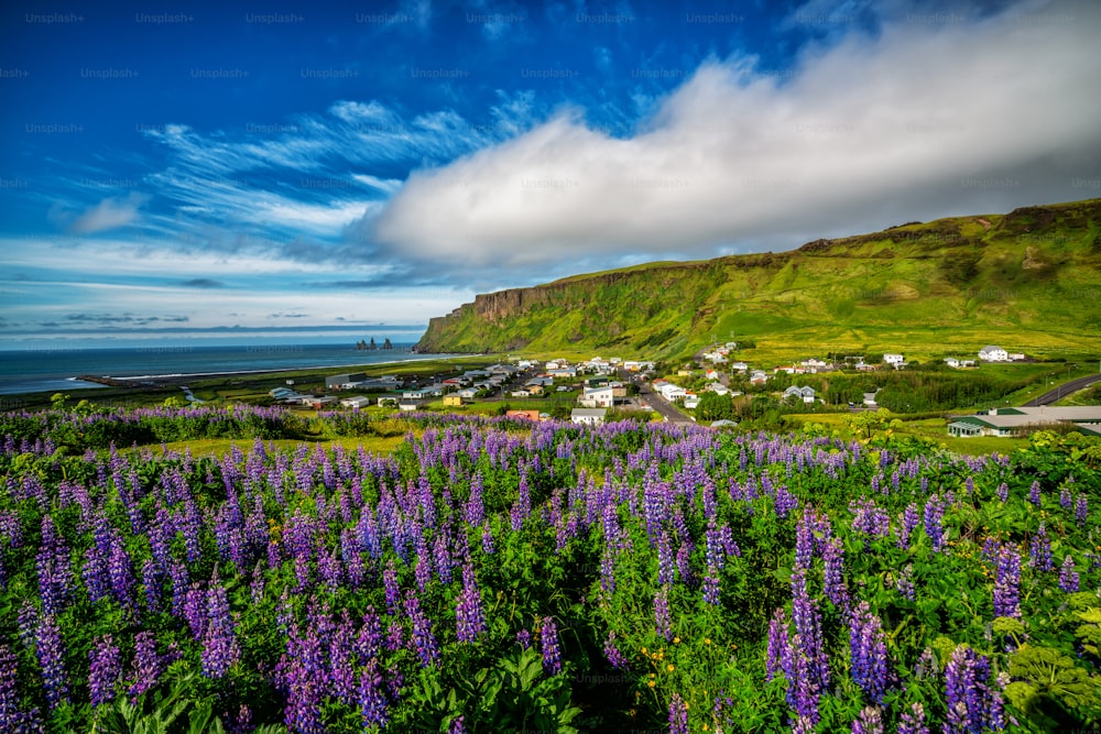 여름에 아이슬란드의 아름다운 마을 비크 이 미르달. 비크 마을은 레이캬비크에서 남동쪽으로 약 180km 떨어진 순환 도로에 있는 아이슬란드 최남단 마을입니다.