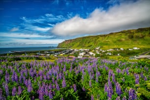 Bela cidade de Vik i Myrdal na Islândia no verão. A aldeia de Vik é a aldeia mais meridional da Islândia, no anel viário a cerca de 180 km a sudeste de Reykjavík.