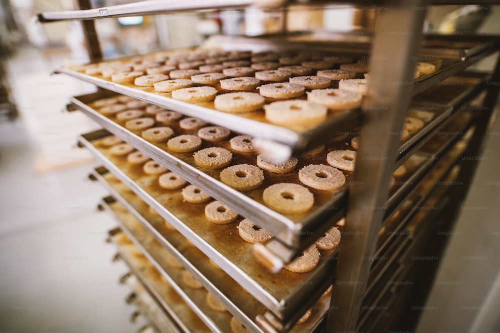 Fábrica de biscoitos, indústria alimentícia. Fabricação. Produção de biscoitos.
