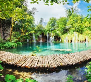 A photo of fishes swimming in a lake, taken in the national park Plitvice Croatia.