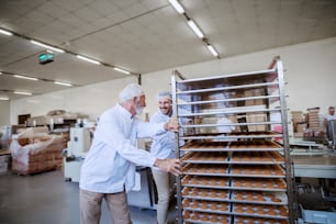 Two food plant employees pushing trays with fresh cookies. Food plant interior.