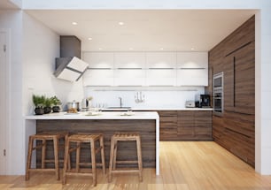 Interior de cocina moderna. Concepto de renderizado 3D
