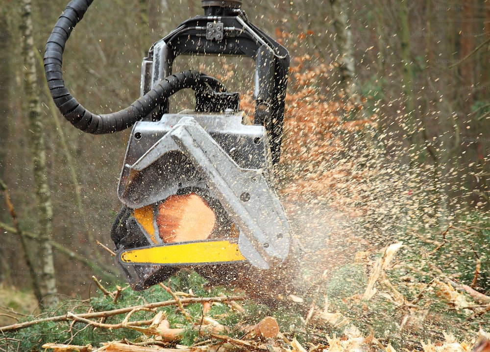 The harvester lumberjack working in a forest. Harvest of timber. Firewood as a renewable energy source. Agriculture and forestry theme.