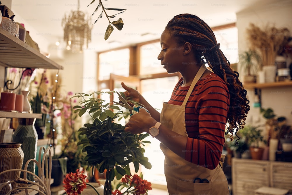 African American woman working at flower shop and taking care of plants.