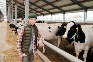 Smiling teenage boy in casualwear looking at you while standing by large paddock with herd of milk cows and taking care of livestock