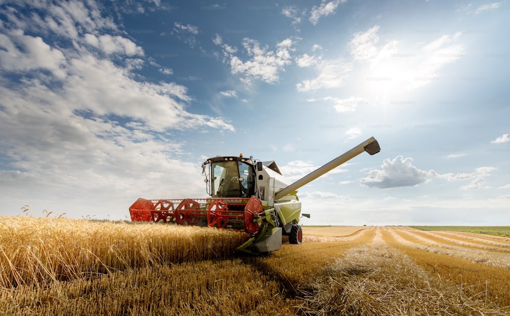 A combine harvester working in a wheat field