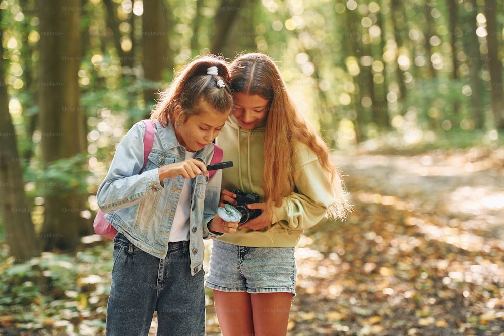 Two girls in green forest at summer daytime together.