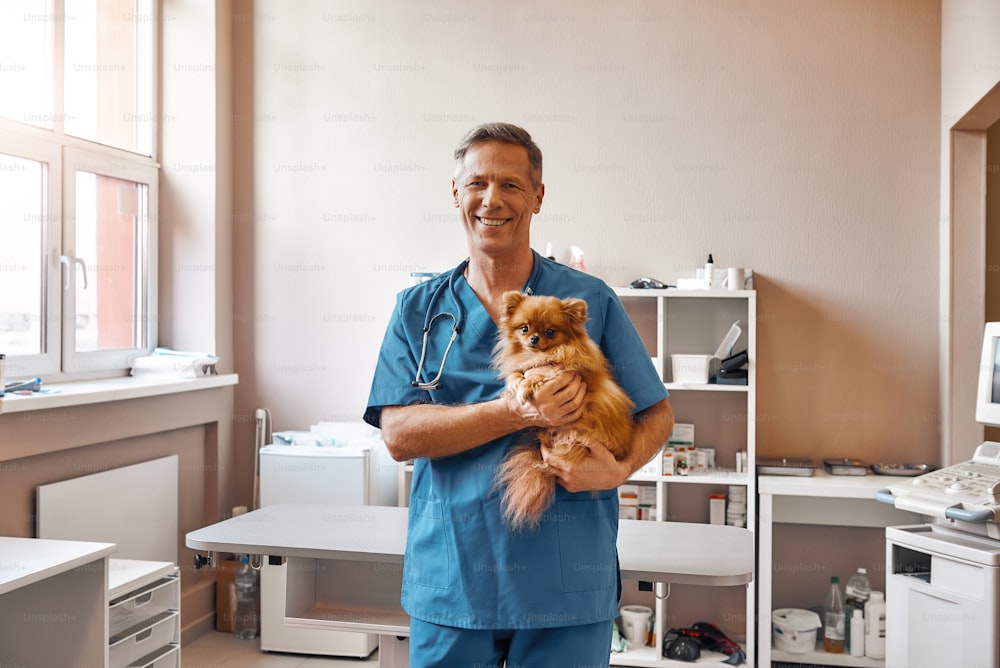 ¡Amo a mis pacientes! Un alegre veterinario masculino con uniforme de trabajo sostiene a un pequeño perro lindo y sonríe a la cámara mientras está de pie en la clínica veterinaria. Concepto de medicina. Concepto de cuidado de mascotas. Hospital de animales
