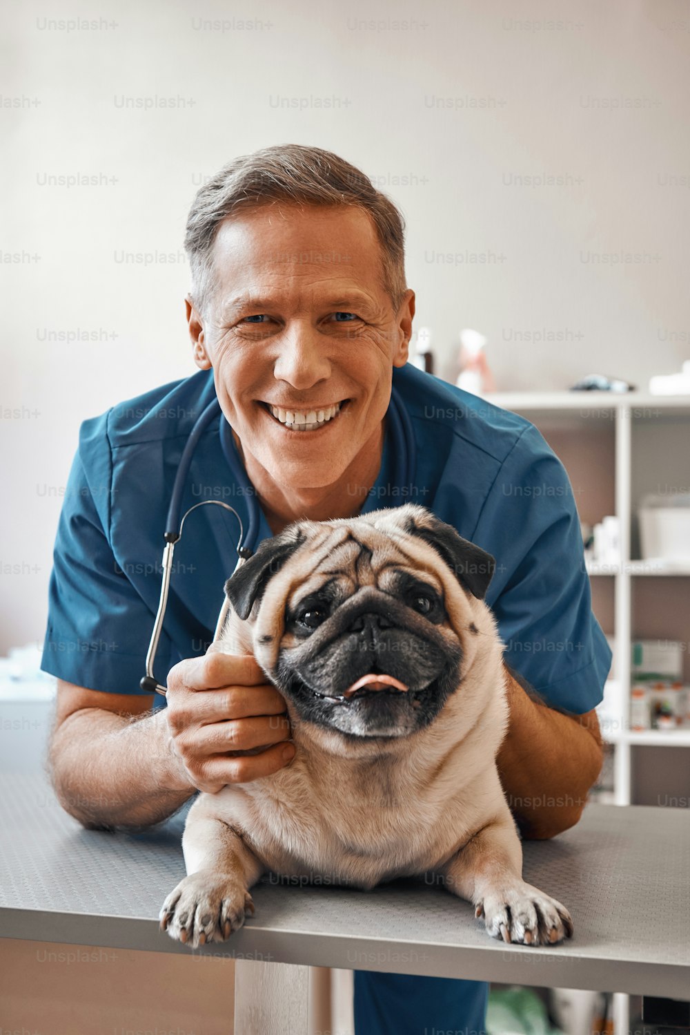 Smile! Cheerful middle aged vet holding a pug and smiling at camera while standing at veterinary clinic. Pet care concept. Medicine concept. Animal hospital