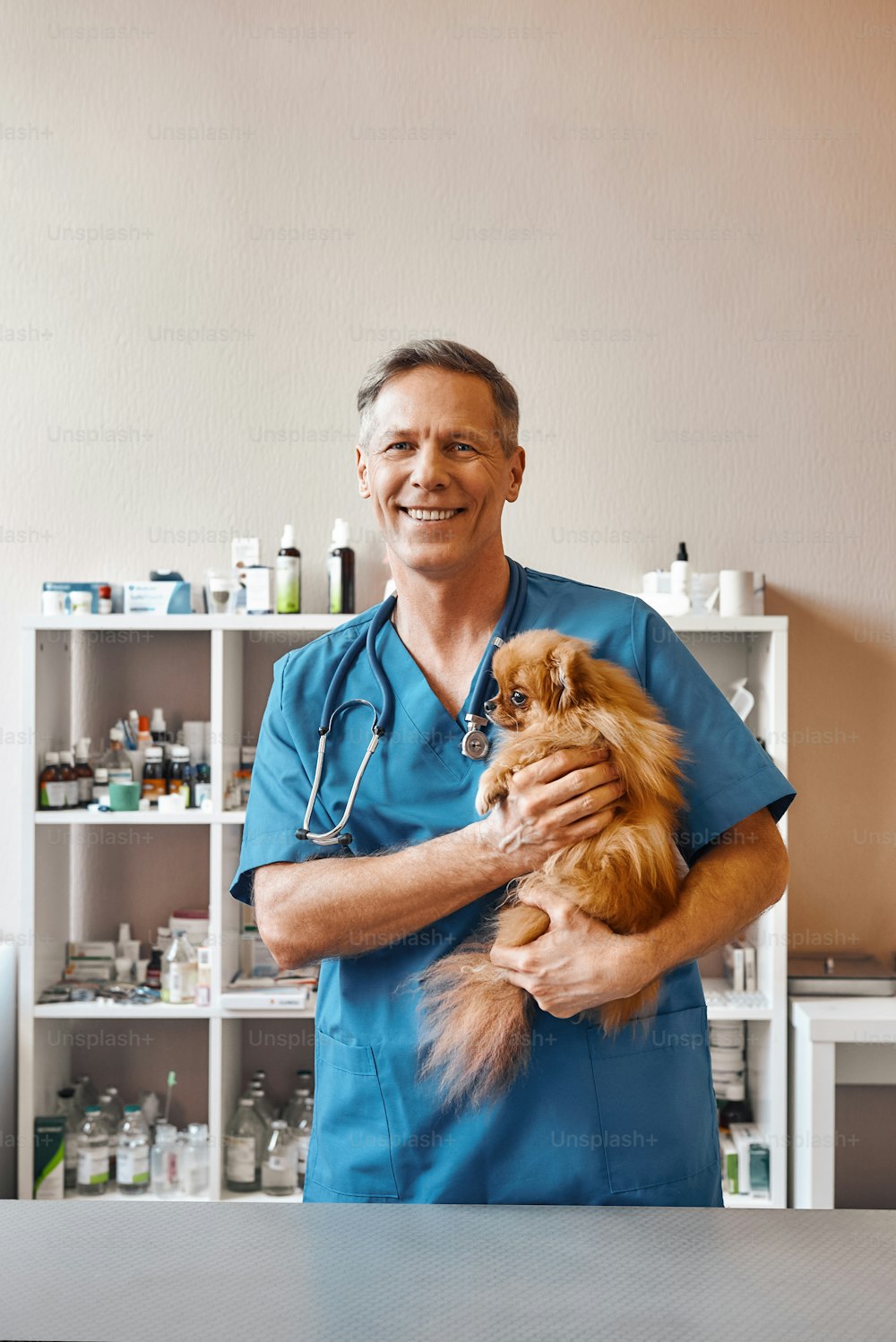 Checkup day. Cheerful and kind middle aged vet holding small ginger dog and looking at camera with smile while standing at veterinary clinic. Medicine concept. Pet care concept. Animal hospital