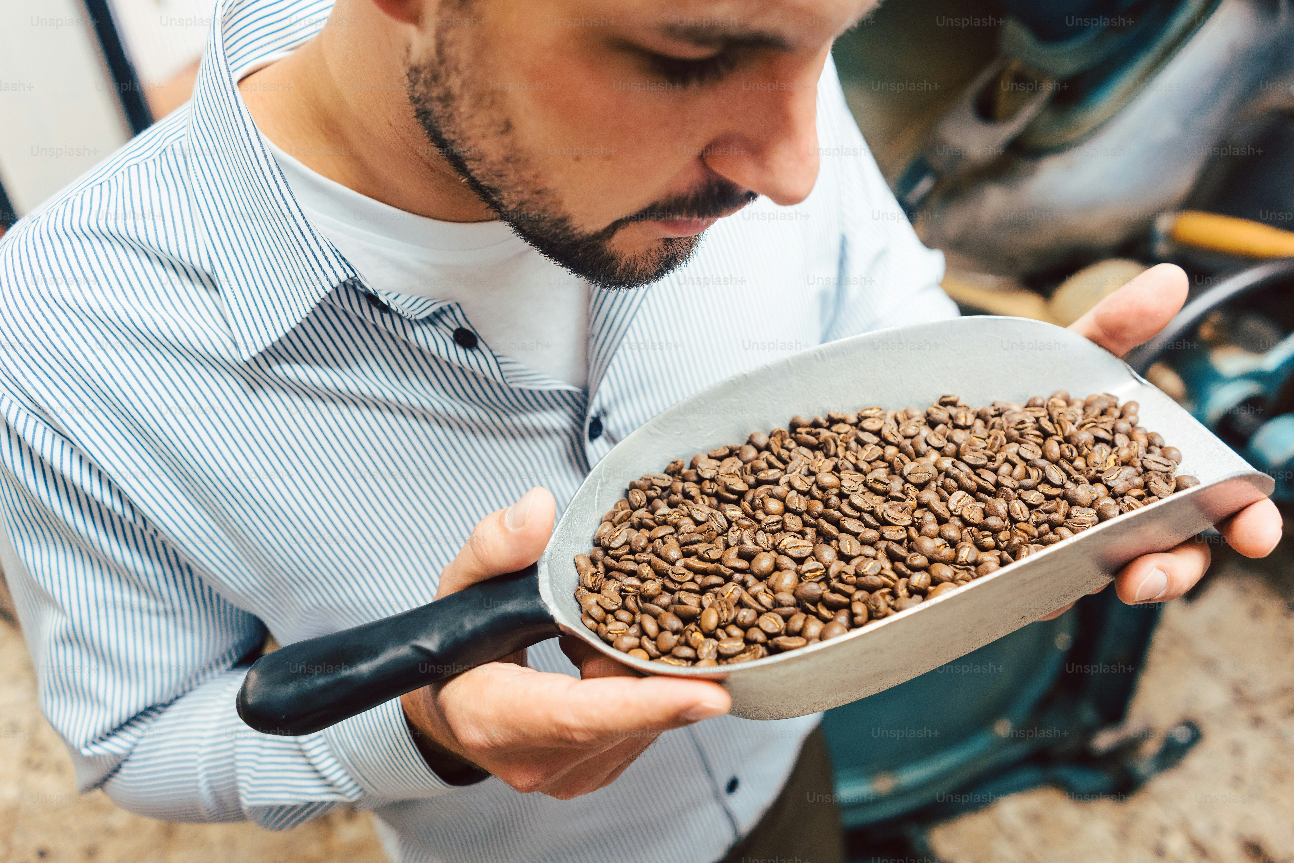 Man in coffee roastery with fresh beans in a little shovel