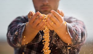 Agricultor segurando grãos de milho em suas mãos