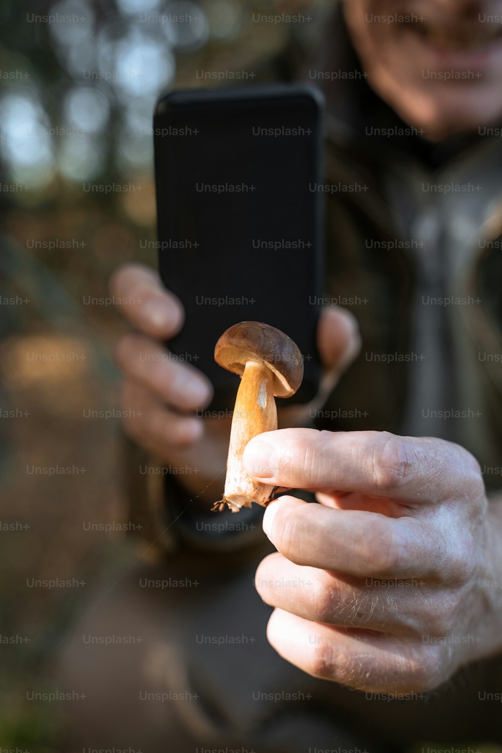 Scatto verticale del pensionato caucasico che tiene in mano un fungo e lo spara al suo smartphone. Persone al concetto di natura